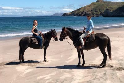 1,5 Hours Private Horseback Riding Tour in Playa Conchal 1,5 Hours Private Horseback Riding Tour in Playa Conchal