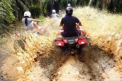 ATV & Canopy Tour From Flamingo Beach ATV & Canopy Tour From Flamingo Beach