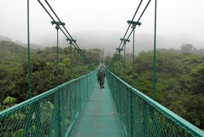 Rain Forest Monteverde Rain Forest Monteverde