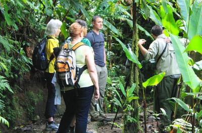 Full Day to Monteverde Cloud Forest from Guanacaste Full Day to Monteverde Cloud Forest from Guanacaste