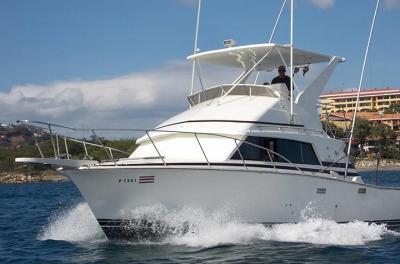 Half-Day Sport Fishing Tour from Flamingo Beach Half-Day Sport Fishing Tour from Flamingo Beach