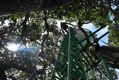 Adventure with propose Savia Experience Monteverde  Adventure with propose Savia Experience Monteverde