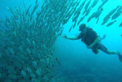 Scuba Diving at Playa Hermosa, Coco and Ocotal Beach Scuba Diving at Playa Hermosa, Coco and Ocotal Beach