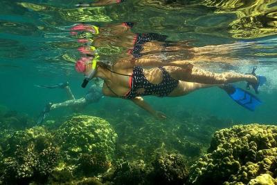 Kayak and Snorkel Tour from Flamingo Beach Kayak and Snorkel Tour from Flamingo Beach
