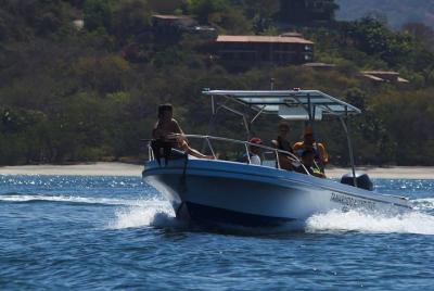 Flamingo Beach Snorkeling Boat Tour Flamingo Beach Snorkeling Boat Tour