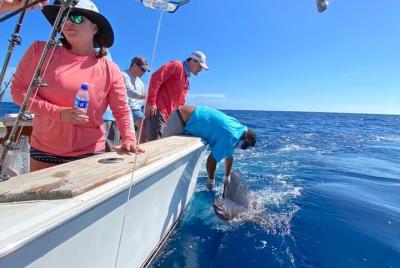 Private Yacht Experience with Snorkelling and Water Sports Private Yacht Experience with Snorkelling and Water Sports