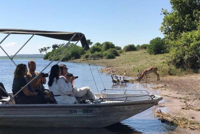 Chobe Full day Trip, Chobe Full day Trip,