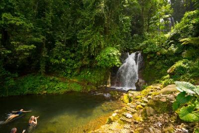 Waterfall and Hot Springs Mud Bath Tour in Rincon de la Vieja Waterfall and Hot Springs Mud Bath Tour in Rincon de la Vieja