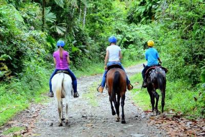 Horse Back Riding,Waterfall hike and Rafting class II & III From La Fortuna-Arenal Horse Back Riding,Waterfall hike and Rafting class II & III From La Fortuna-Arenal