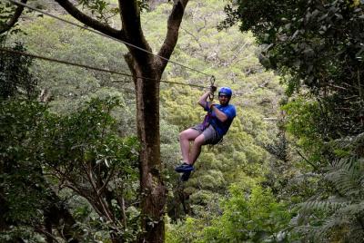 Guanacaste Volcano and Jungle Tour  Guanacaste Volcano and Jungle Tour