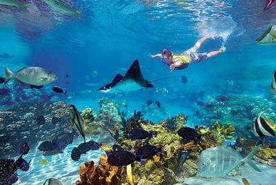 Boat tour to the exotic caves with snorkel from Playas del Coco Boat tour to the exotic caves with snorkel from Playas del Coco