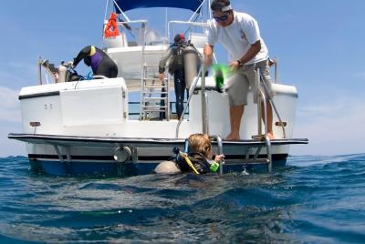 Beginner Diving Lesson with Two Tank Dives in Guanacaste Beginner Diving Lesson with Two Tank Dives in Guanacaste