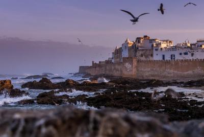 Marrakech to Essaouira - Day tour Marrakech to Essaouira - Day tour