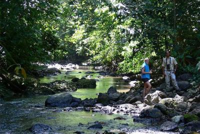 Trek 3 days / 2 nights in the heart of Corcovado National Park -  Trek 3 days / 2 nights in the heart of Corcovado National Park -