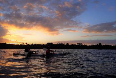 Mangroves, Sunset and Bioluminescence Kayak Tour