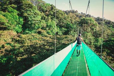 Sky Walk From Monteverde
