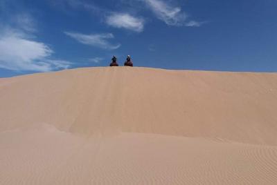 Circuit / 1H Quad + 1H Camel Ride on the beach of Essaouira