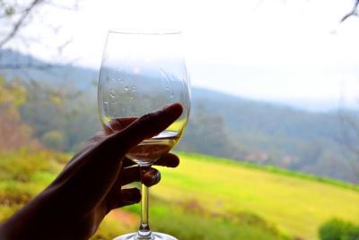 Cape Winelands and Wine Tasting Full Day Tour Cape Winelands and Wine Tasting Full Day Tour