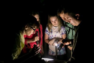 All-Inclusive Jungle Night Tour All-Inclusive Jungle Night Tour