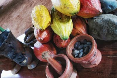 Chocolate Tour Manuel Antonio Chocolate Tour Manuel Antonio