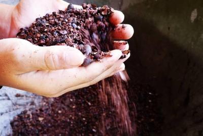 Chocolate & Coffee Tour Manuel Antonio