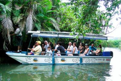 Mangrove Boat Tour Damas Island