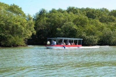 Damas Island by Boat Tour From Manuel Antonio Damas Island by Boat Tour From Manuel Antonio