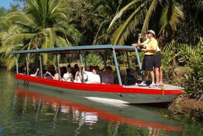 Damas Island Mangrove Boat Tour from Manuel Antonio Damas Island Mangrove Boat Tour from Manuel Antonio