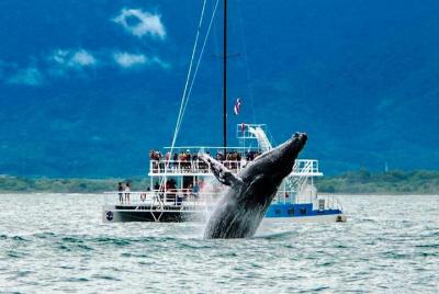 All Inclusive Catamaran Eco Adventure from Manuel Antonio