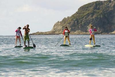 Manuel Antonio SUP Paddleboard