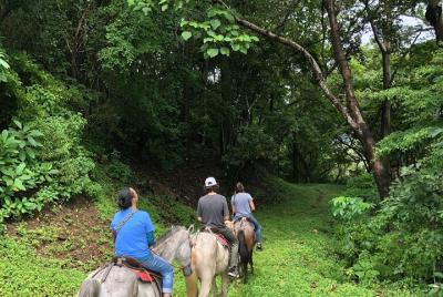 Jungle and Mountain Adventure Jungle and Mountain Adventure