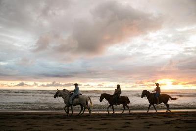 Horseback Riding at Samara Beach, Beach and jungle tour Horseback Riding at Samara Beach, Beach and jungle tour