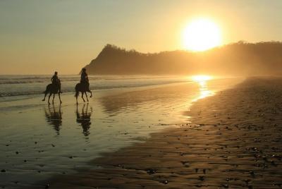 Safari & Buenavista Beach Horse Riding Tour Safari & Buenavista Beach Horse Riding Tour