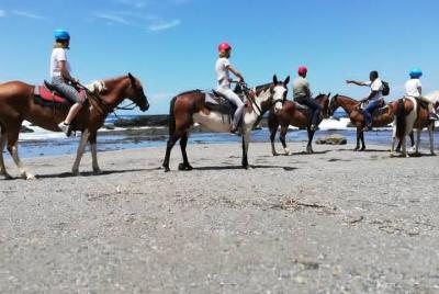 Horseback Riding in Playa Carrillo Horseback Riding in Playa Carrillo