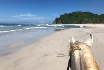 Safari & Barigona Beach on horseback Safari & Barigona Beach on horseback