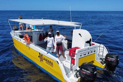 Playa Samara Sea Quest Snorkeling Tour Playa Samara Sea Quest Snorkeling Tour