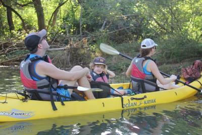 Wildlife and Mangrove Kayaking Tour Río Ora Wildlife and Mangrove Kayaking Tour Río Ora