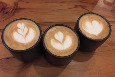 Costa Rican Specialty Coffee Tasting & Workshop