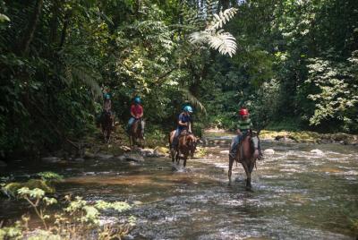 Sarapiqui Forest Horseback Riding Experience in Costa Rica Sarapiqui Forest Horseback Riding Experience in Costa Rica