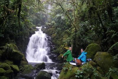 Hike through a recovered forest to find an amazing waterfall Hike through a recovered forest to find an amazing waterfall