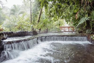 4-Days Arenal Volcano Tabacon Resort- Tortuguero - Monteverde - M 4-Days Arenal Volcano Tabacon Resort- Tortuguero - Monteverde - M