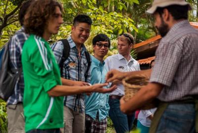 Discover everything about the process and preparation of the Coff Discover everything about the process and preparation of the Coff