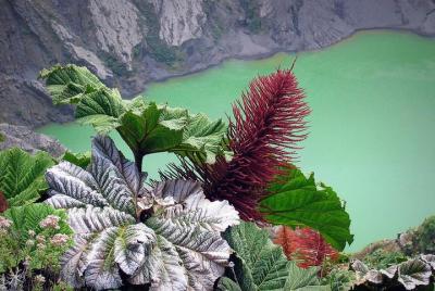 Irazú Volcano -Half Day Trip Irazú Volcano -Half Day Trip