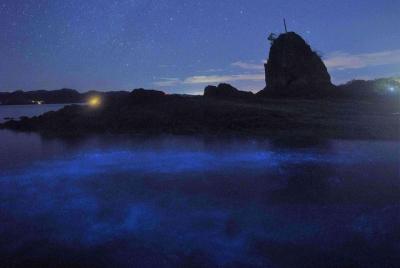 Bioluminescent Kayak Tour Bioluminescent Kayak Tour