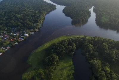 TORTUGUERO MOST POPULAR: Canoe and night tour (Jul-Oct turtle) TORTUGUERO MOST POPULAR: Canoe and night tour (Jul-Oct turtle)