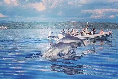 Blue Cave & 6 islands tour from Trogir & Čiovo 