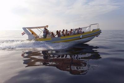 Afternoon Sea Safari Afternoon Sea Safari