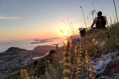 Cruiser Taxi Panorama Dubrovnik Photo Tour