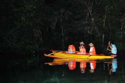 Puerto Princesa Firefly Watching Tour Puerto Princesa Firefly Watching Tour