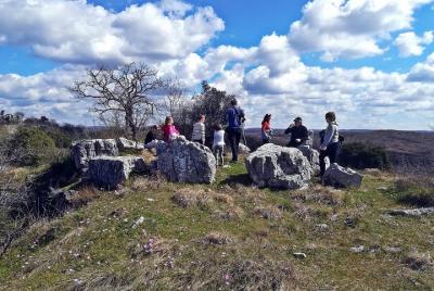 Archaeological walk and honey tasting